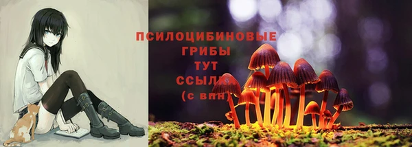 прущая мука Абаза